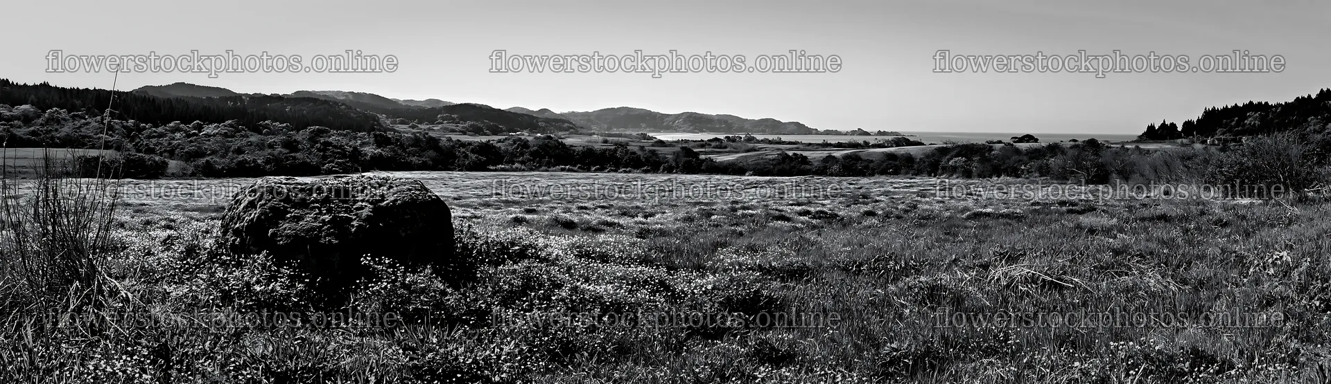 Miyagi spring recovery meadow with mossy stones and hills – flower stock photos 14762x4268