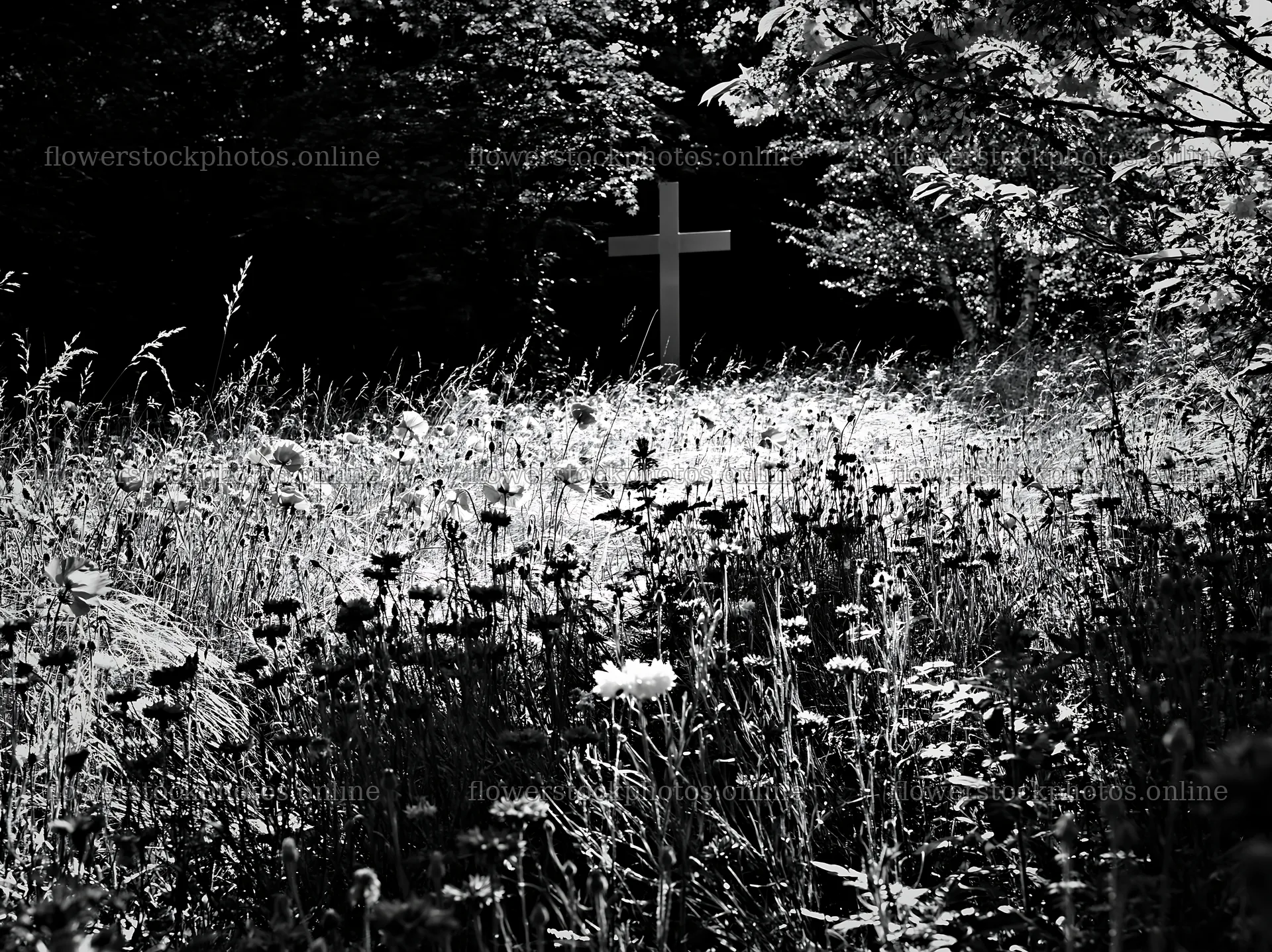 White Christian cross in meadow with flowers at Christmas time – flower stock photos 9174x6866