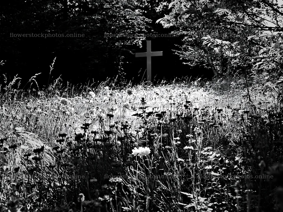 White Christian cross in meadow with flowers at Christmas time – flower stock photos 9174x6866