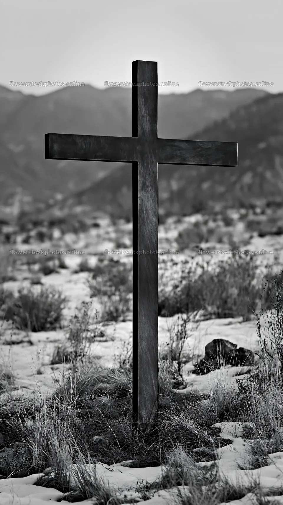 Bronze Christian cross stands in Christmas meadow – flower stock photos 5938x10608