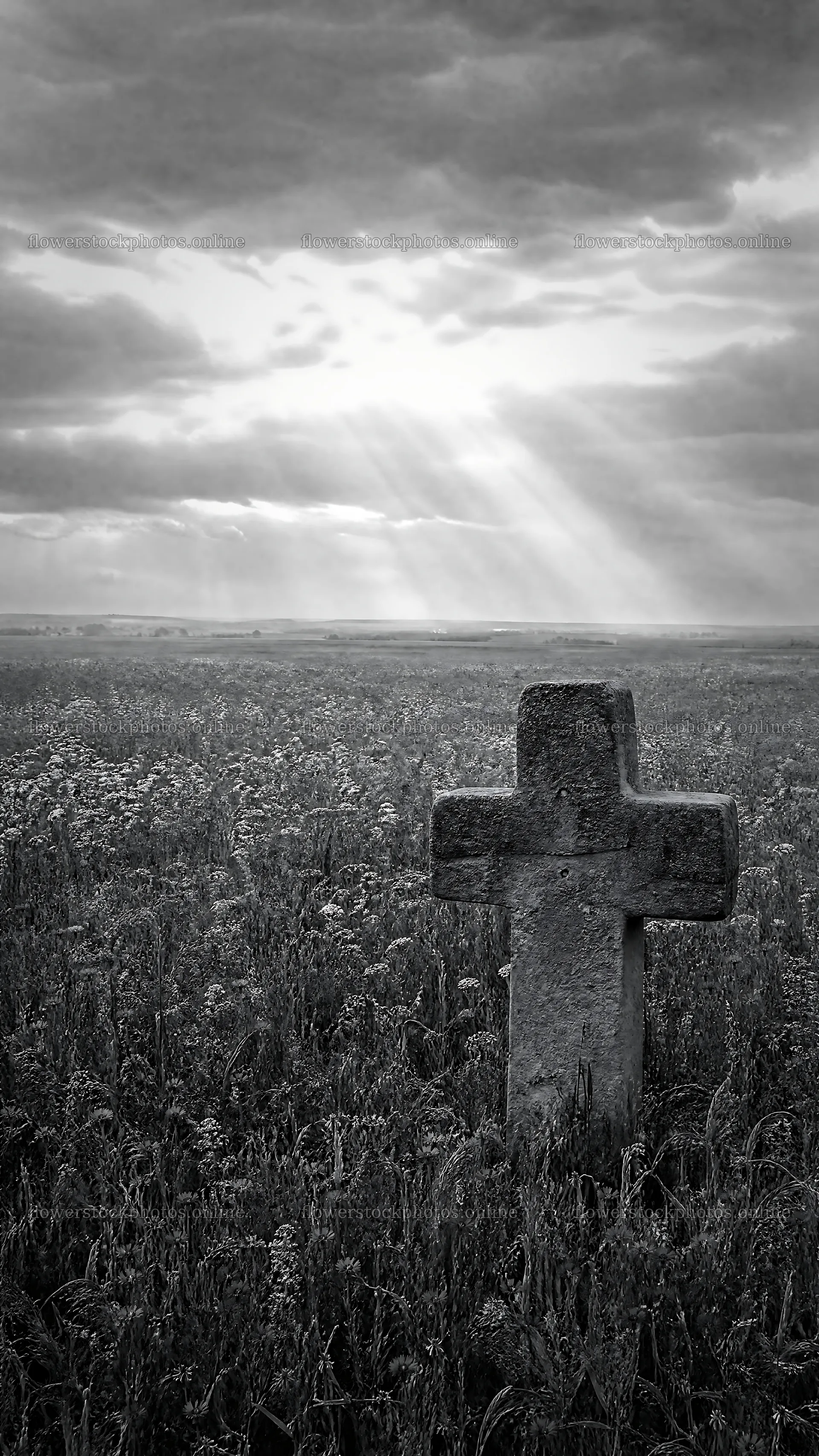 Christian cross in meadow under light rays – flower stock photos 5952x10584