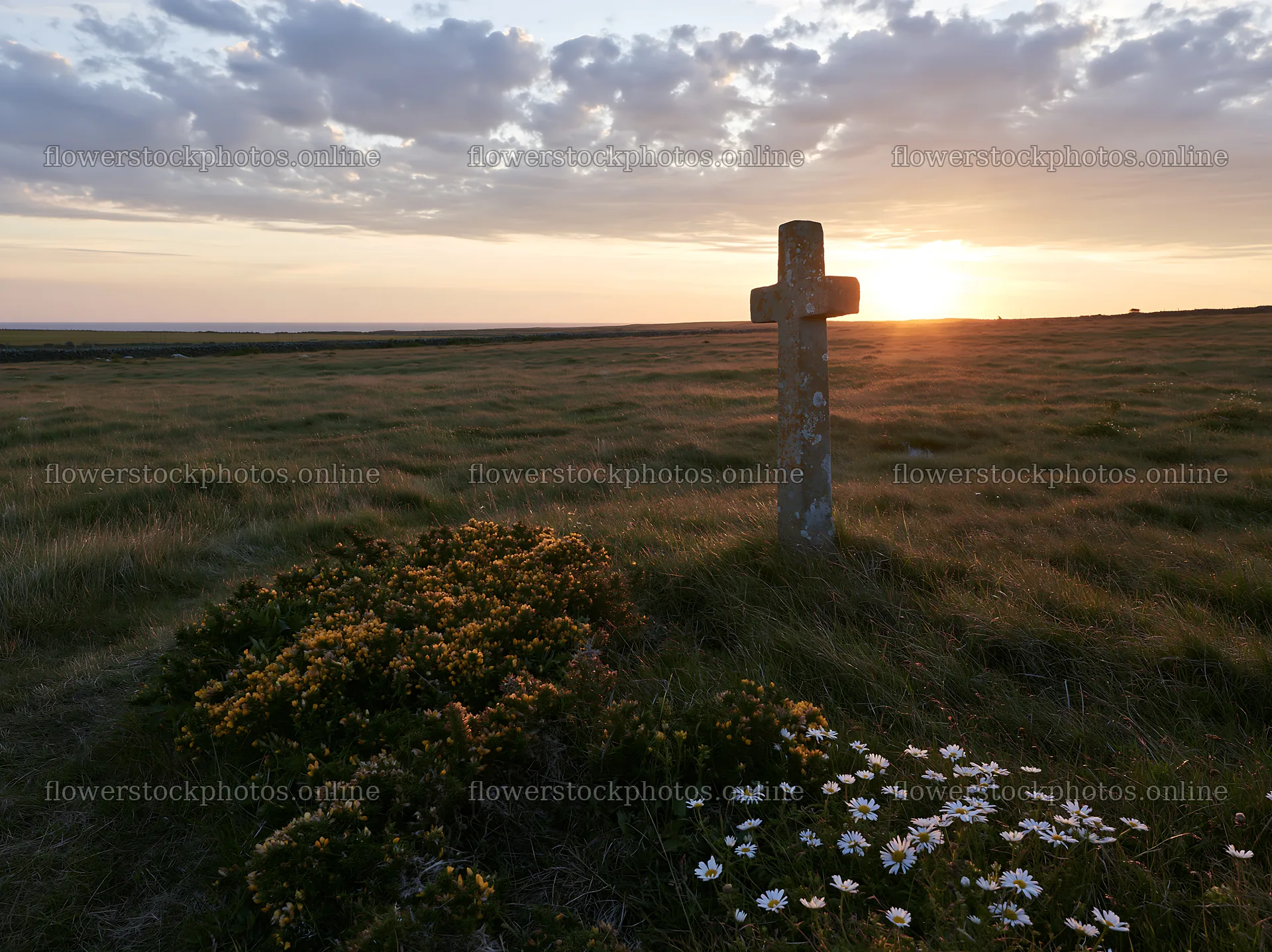 Christian cross at sunrise over grassy meadow – flower stock photos 9174x6866