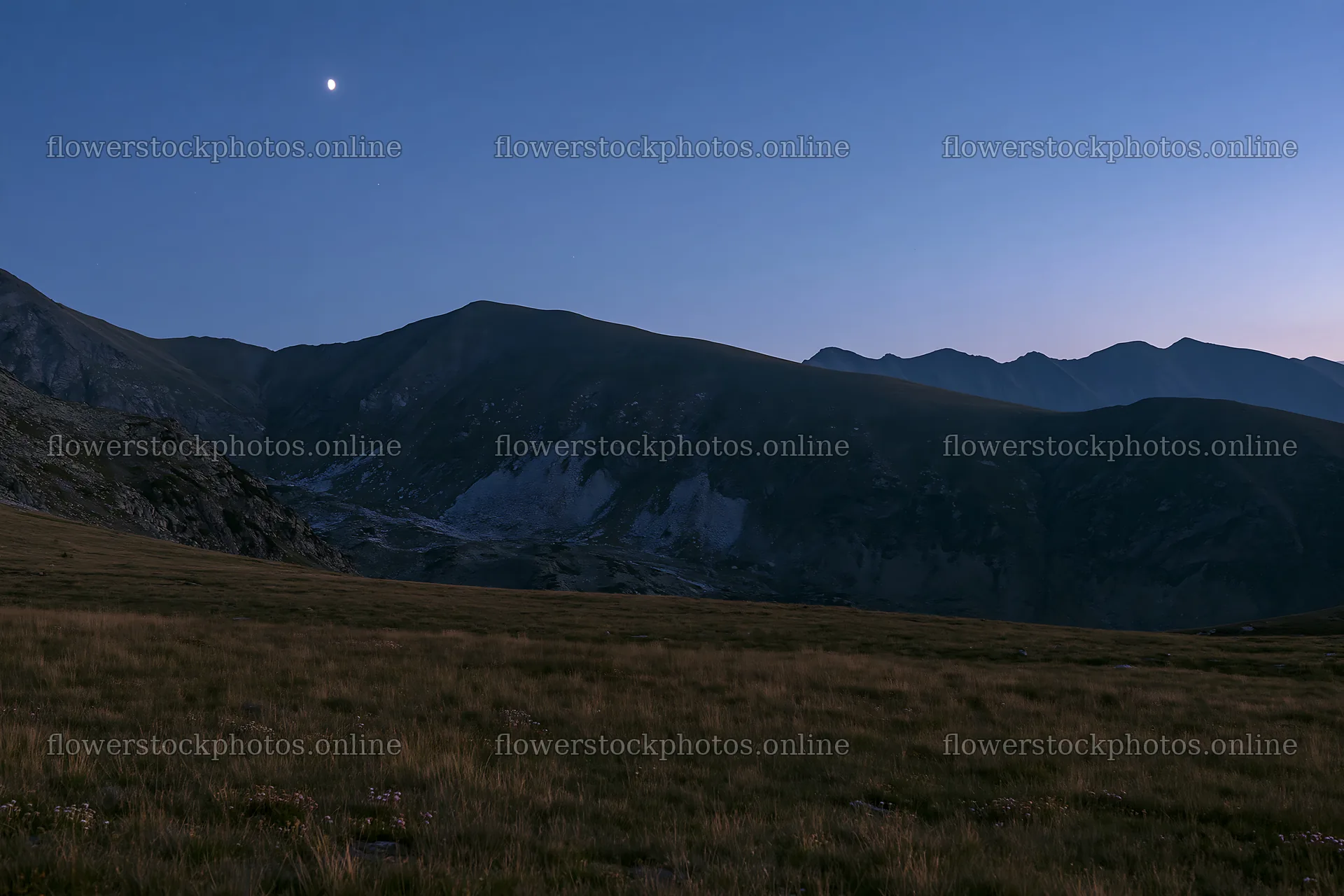 Moonrise over a meadow with mountains in the background – flower stock photos 9722x6480