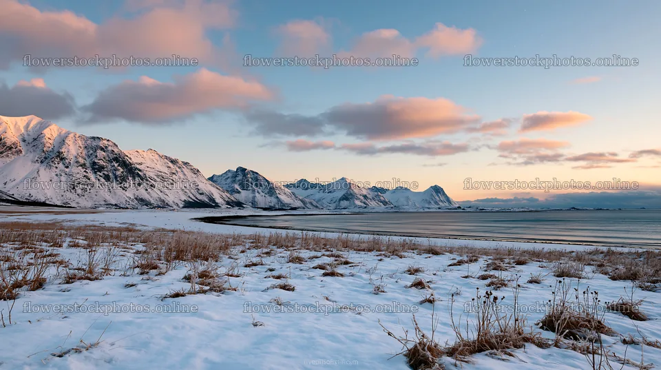 Lofoten coastal meadow winter snow view with mountains and clouds – flower stock photos 10608x5938