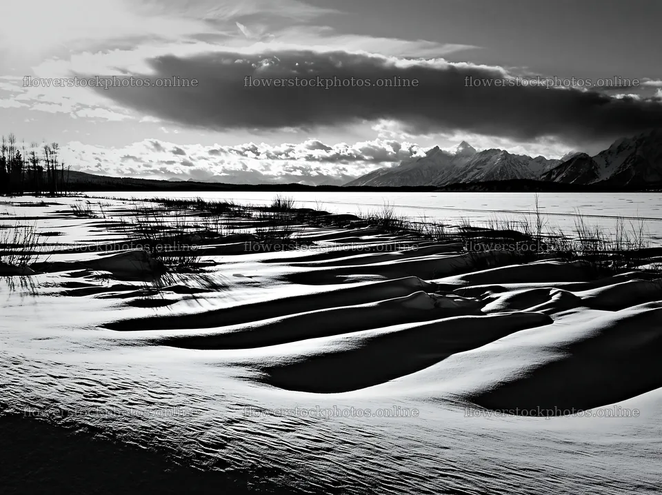 Snowy lakeside meadow with gentle snow drifts and mountains – flower stock photos 9174x6866