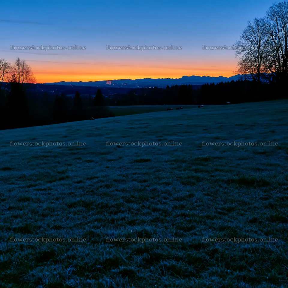 Sunset over the rolling valley meadows at twilight – flower stock photos 7938x7938