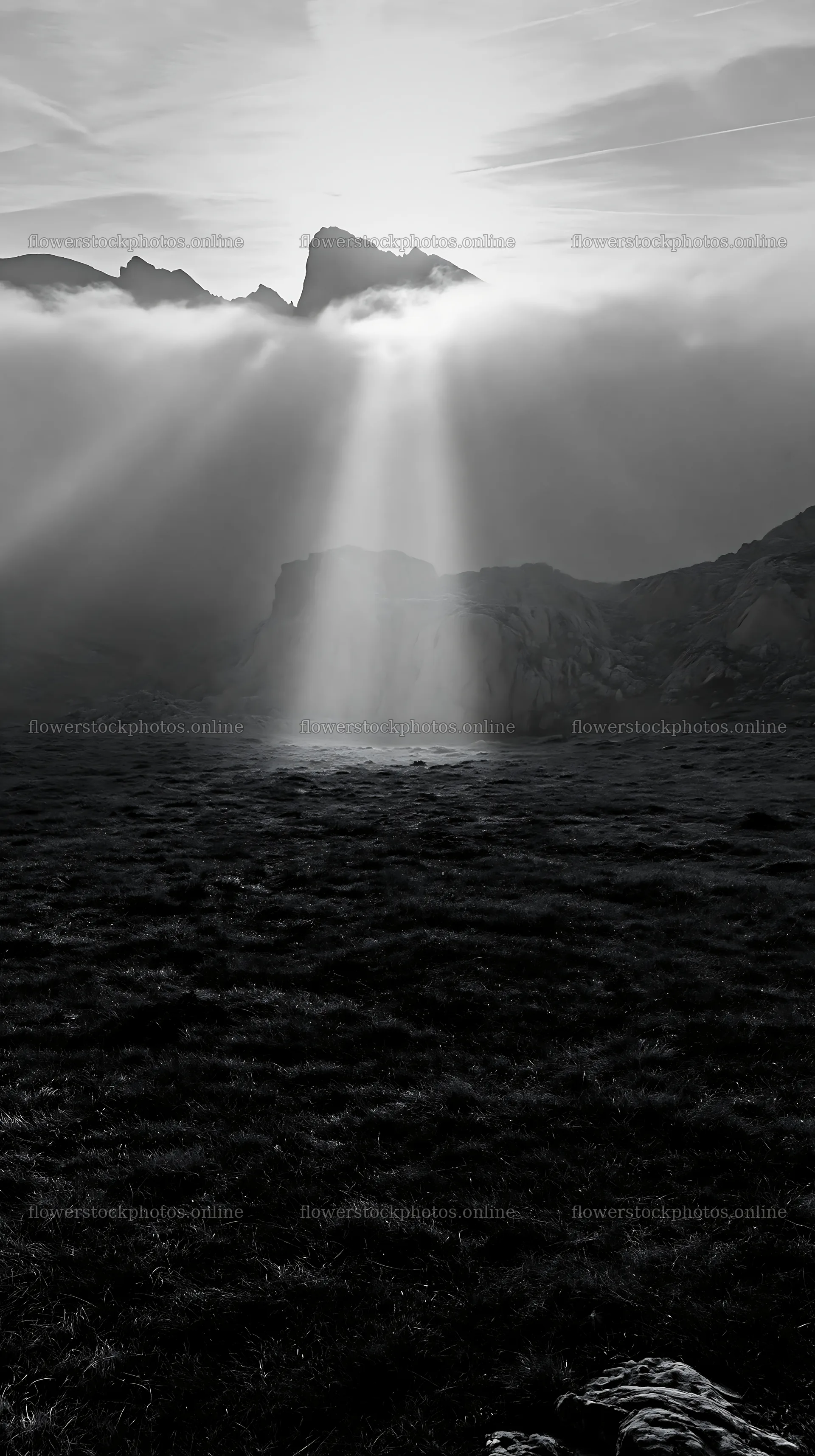 Sunrays shining through clouds in Picos de Europa meadow – flower stock photos 5938x10608