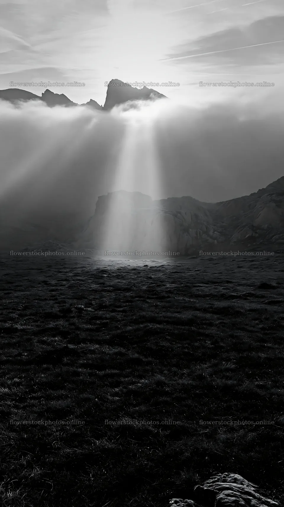 Sunrays shining through clouds in Picos de Europa meadow – flower stock photos 5938x10608