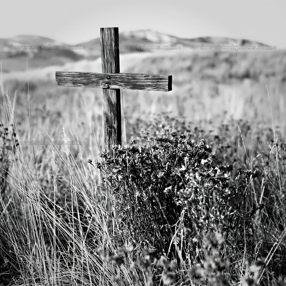 Wooden Christian cross in a Christmas meadow – flower stock photos 7938x7938