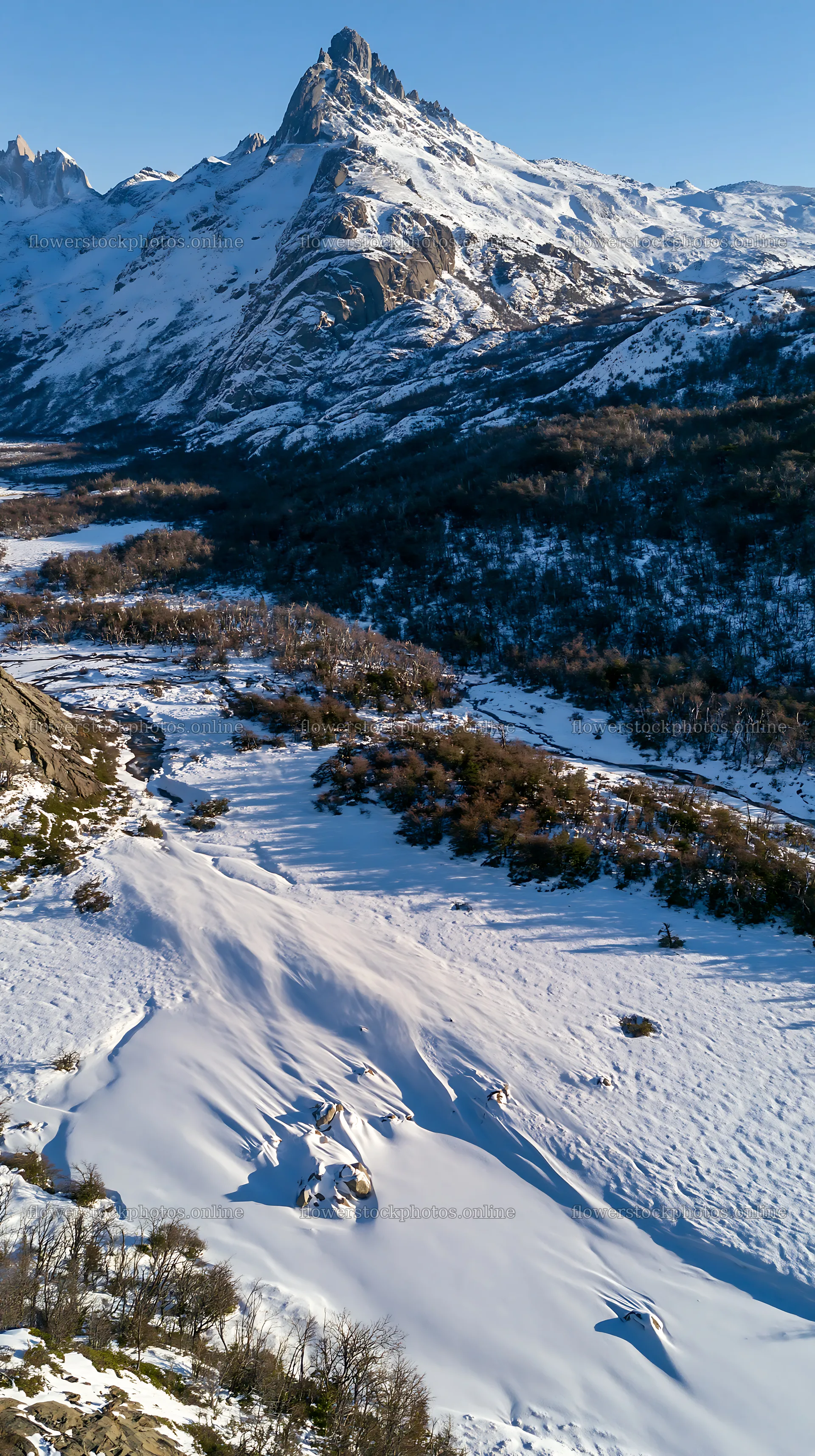 Aerial view snowy meadow valley with mountains in the background – flower stock photos 5938x10608