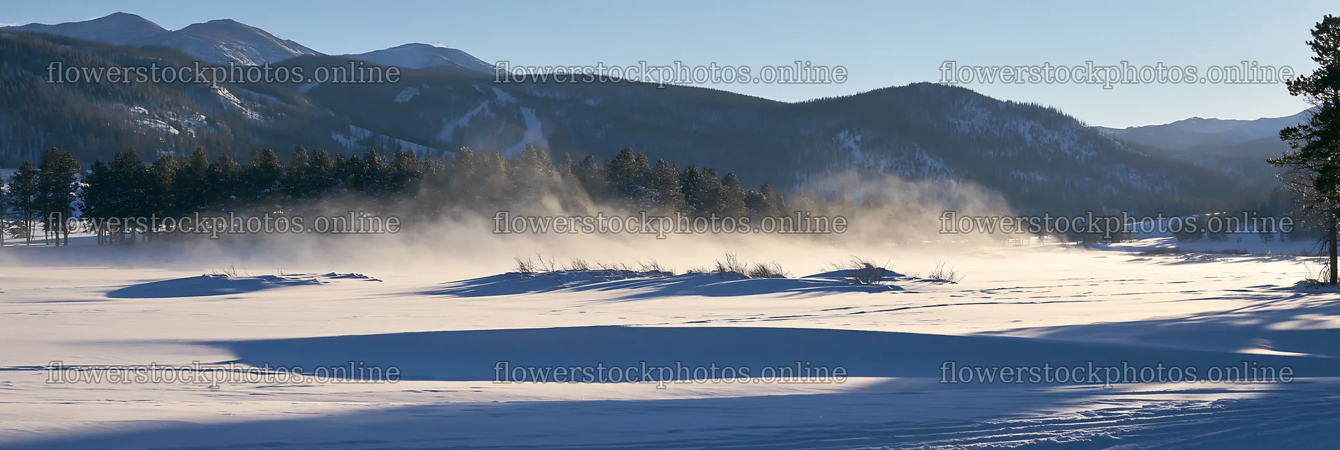 Snowy Rocky Mountain Park meadow with mist and mountains – flower stock photos 13690x4602