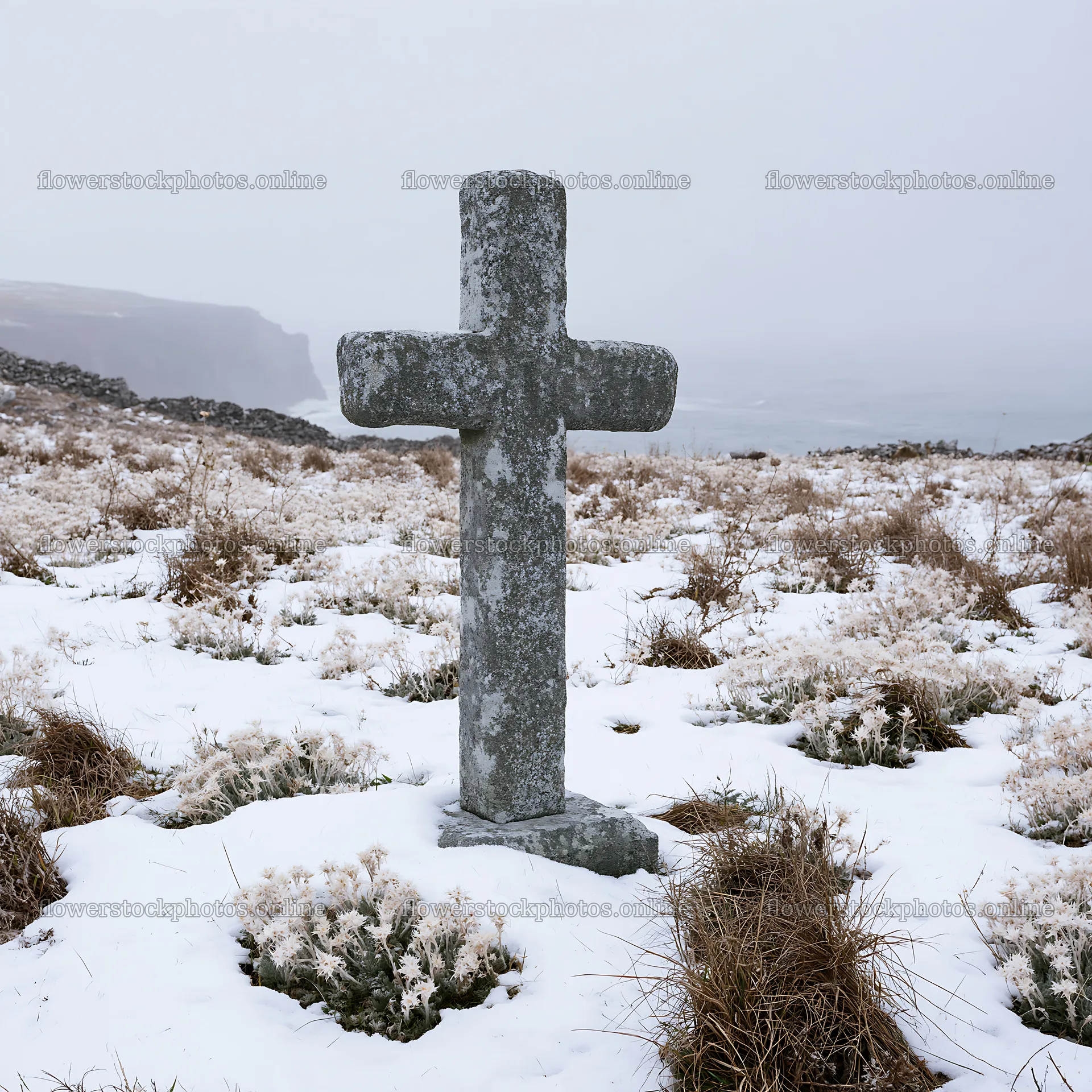 Stone Christian cross in snowy meadow landscape – flower stock photos 7938x7938