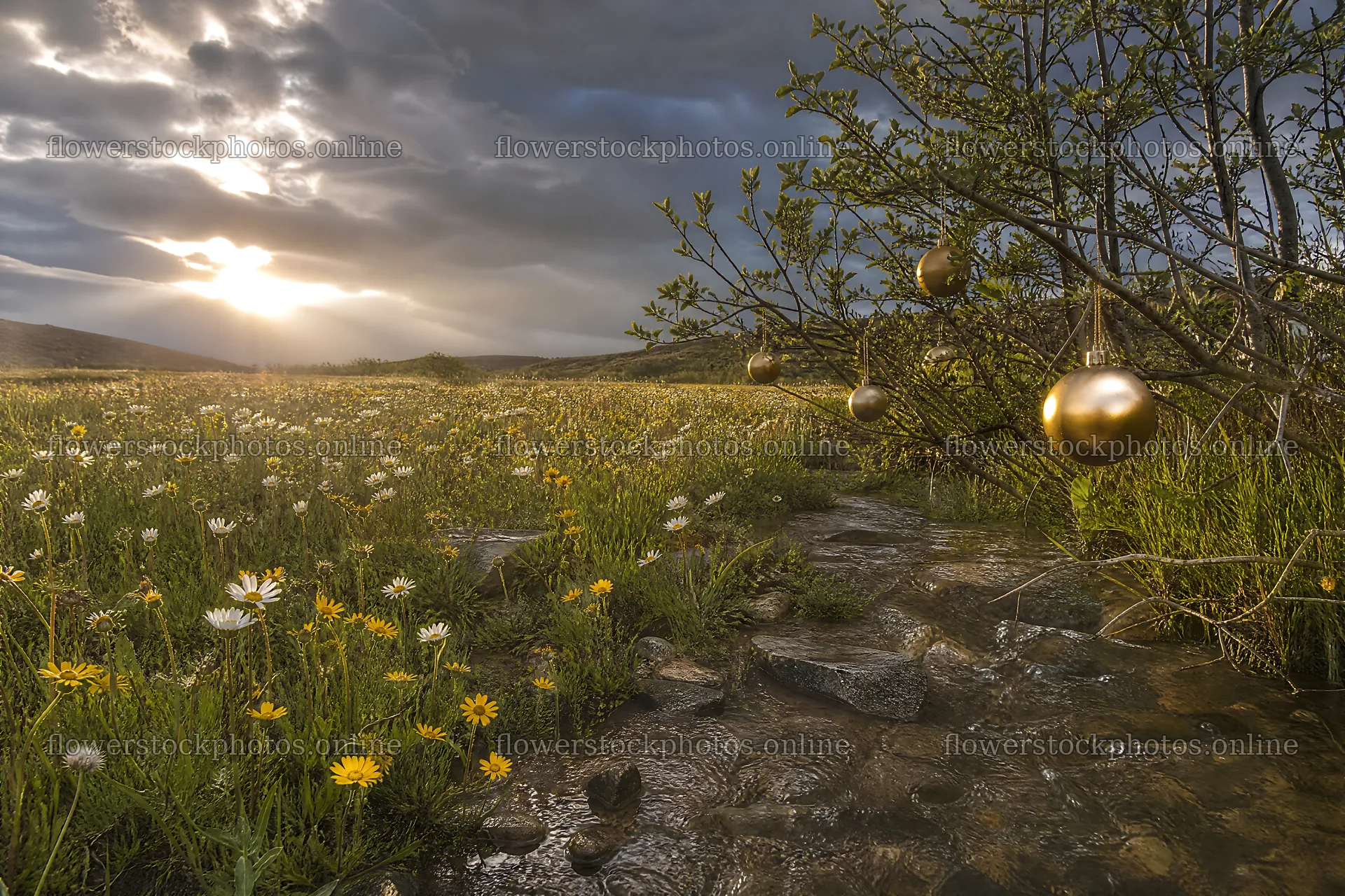 Christmas ornaments hanging over stream in meadow – flower stock photos 9722x6480