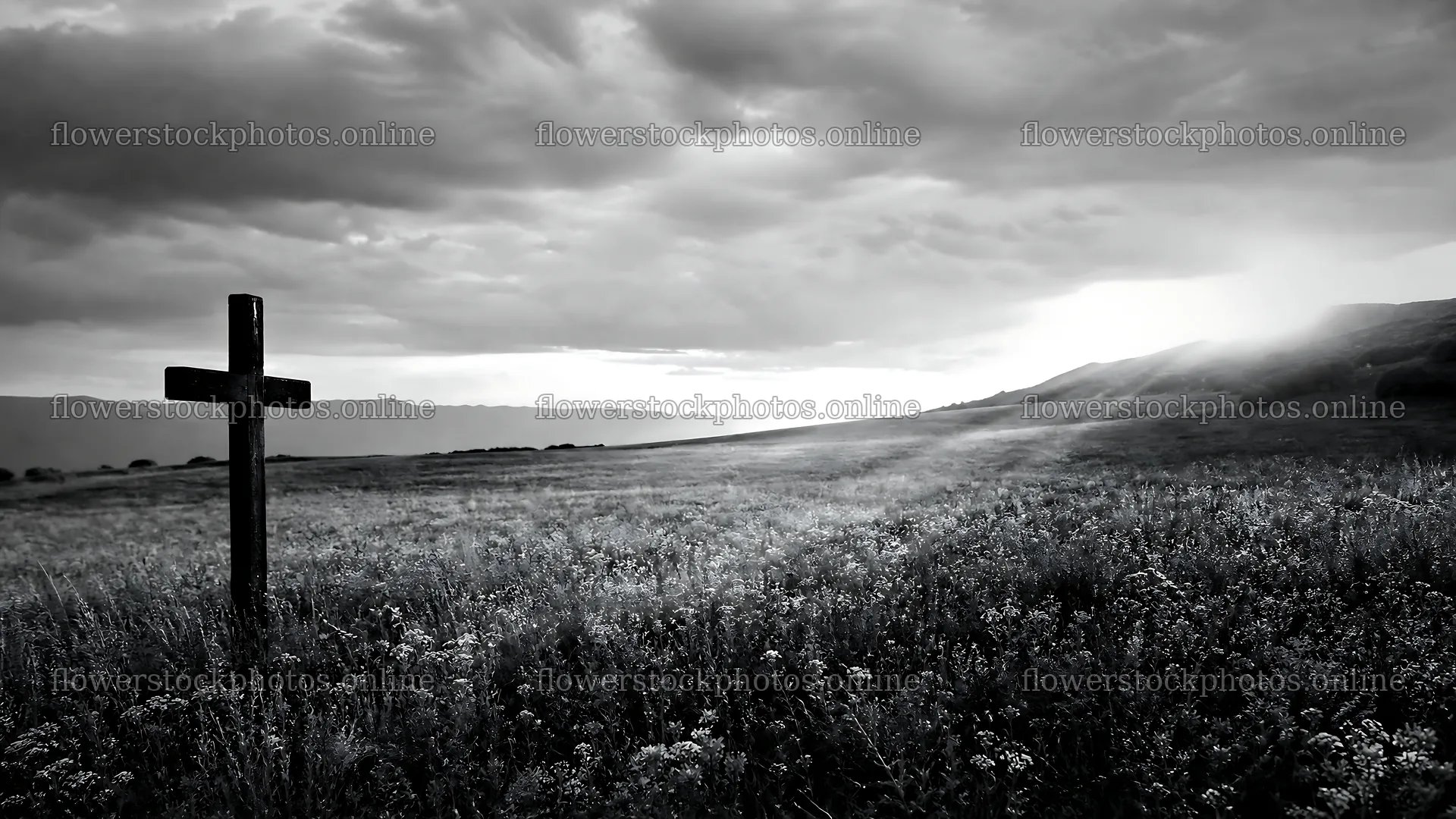 Christian cross in meadow with light rays in the background – flower stock photos 10584x5952
