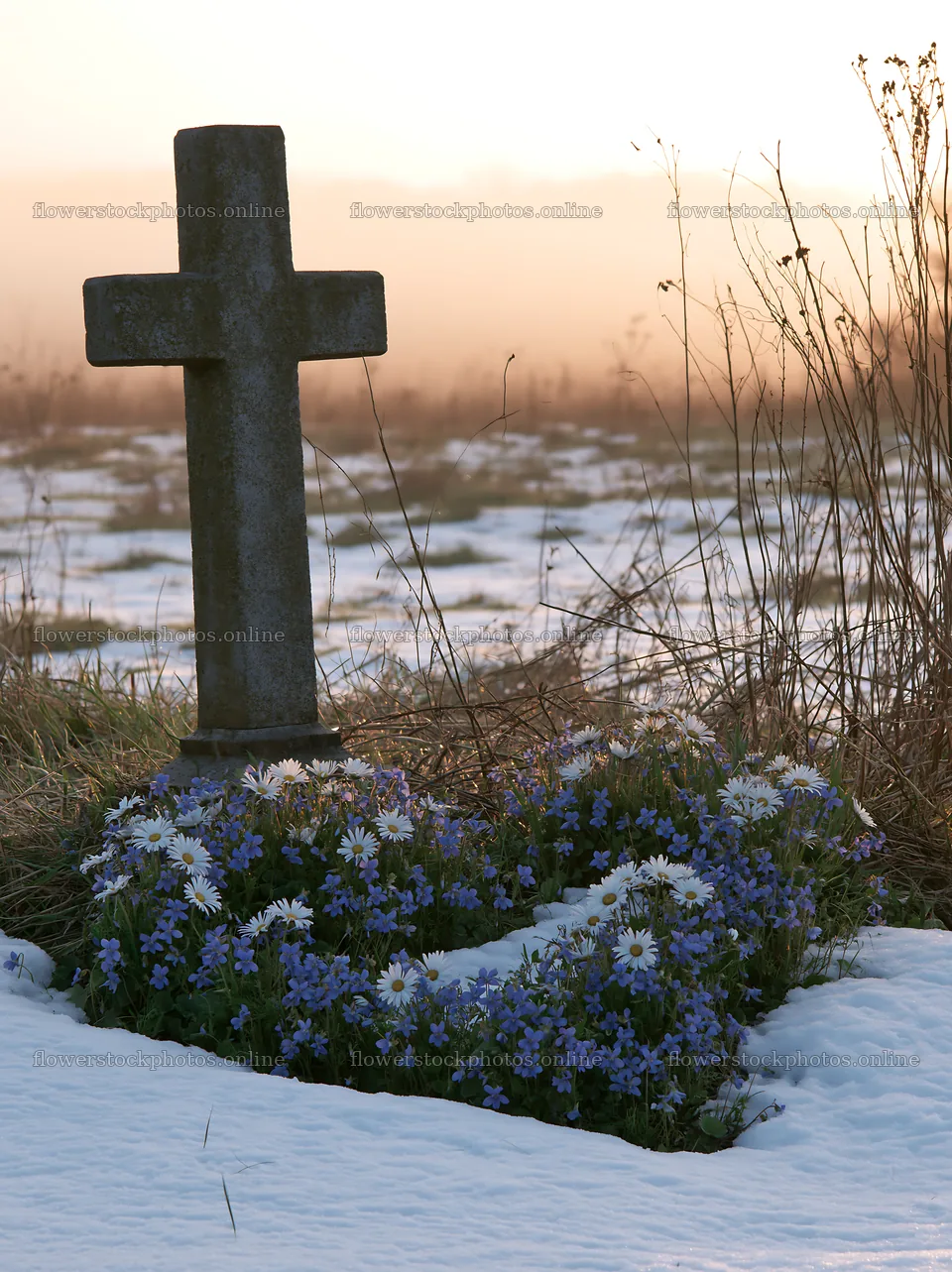 Stone Christian cross in snowy meadow with flowers – flower stock photos 6866x9174