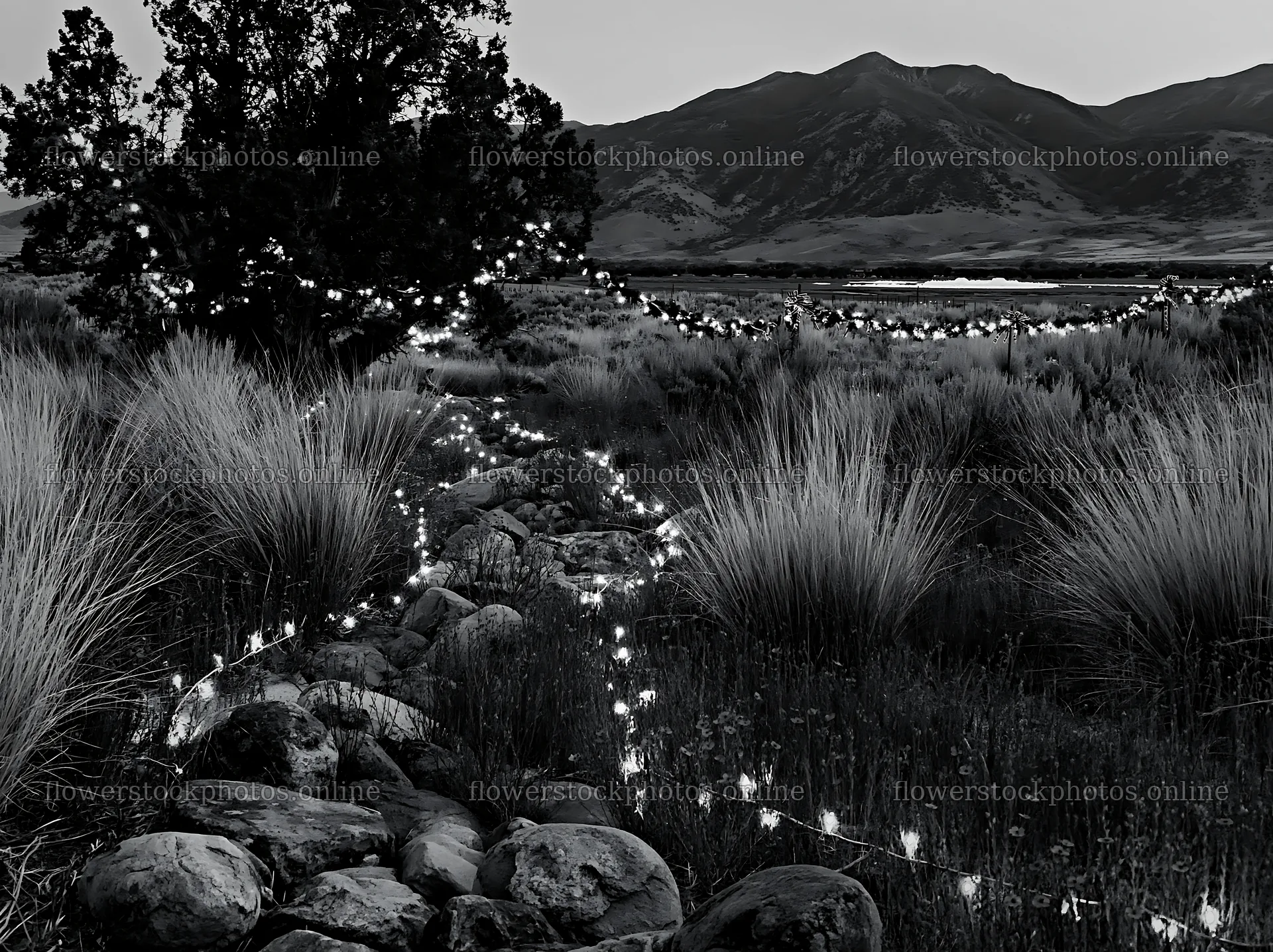 Christmas garland in a meadow with drought tolerant plants – flower stock photos 9174x6866