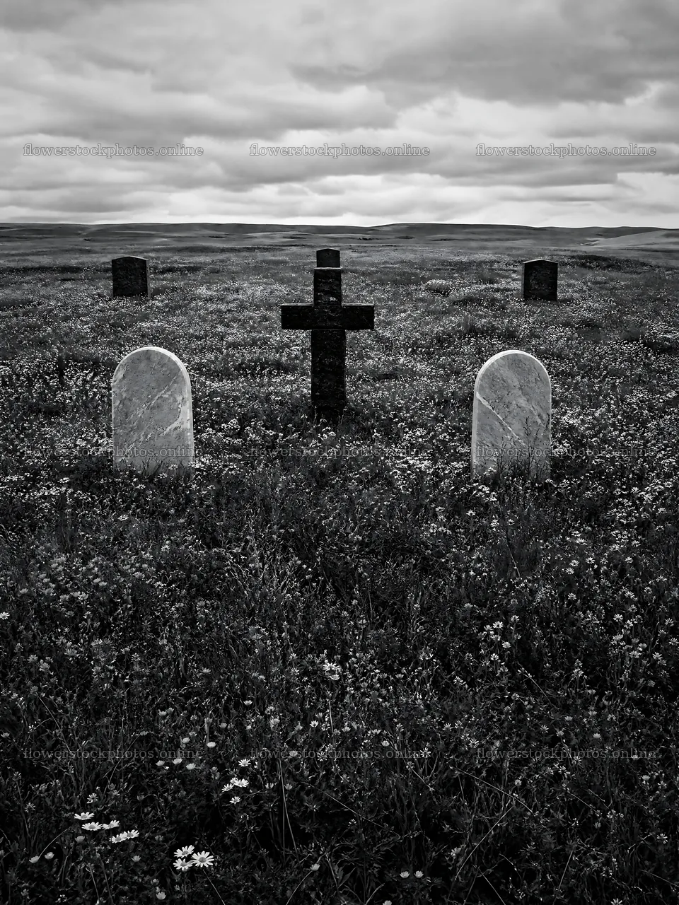Dark Christian cross in summer meadow with gravestones – flower stock photos 6874x9166