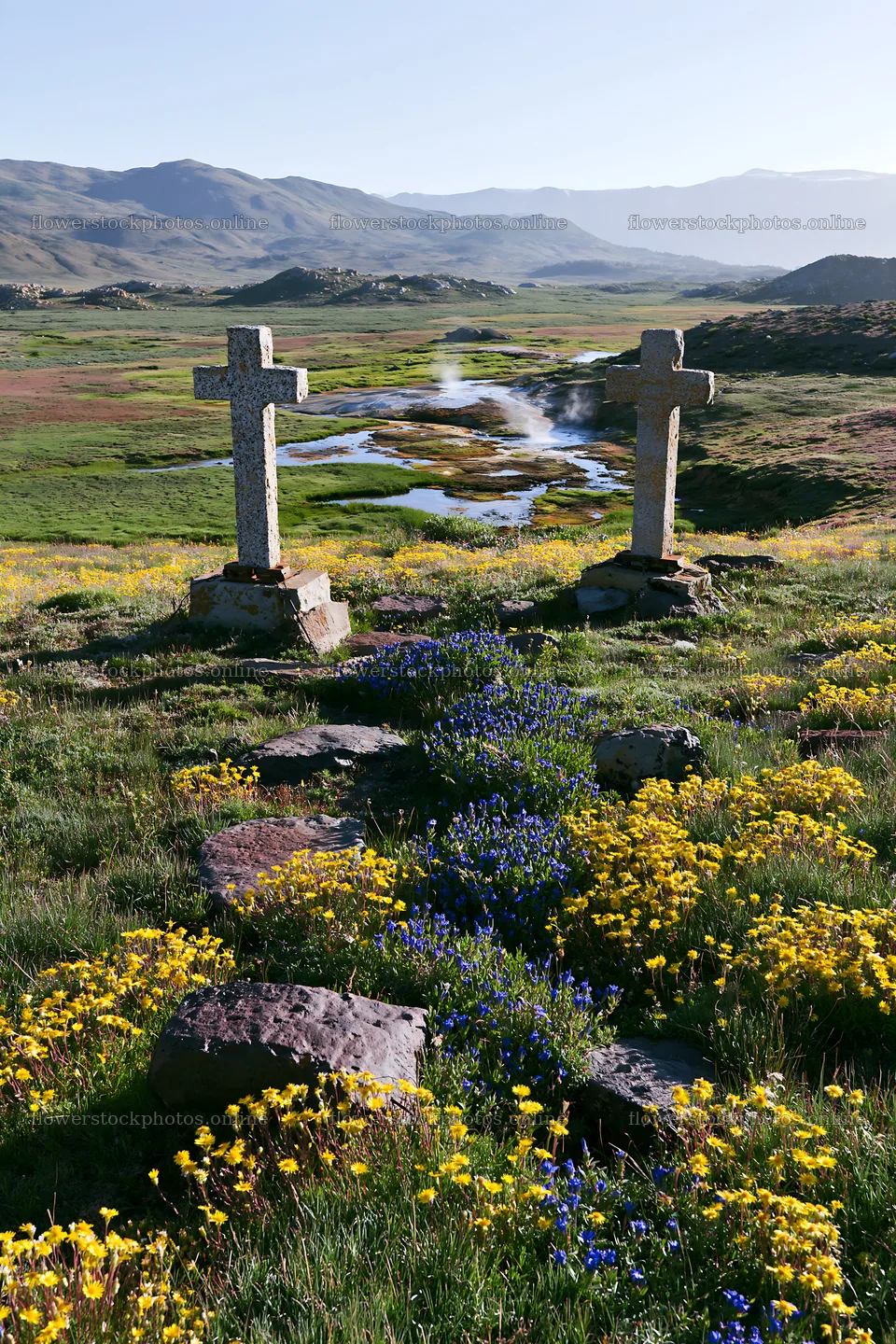 Christian crosses near thermal springs in a meadow landscape – flower stock photos 6480x9722