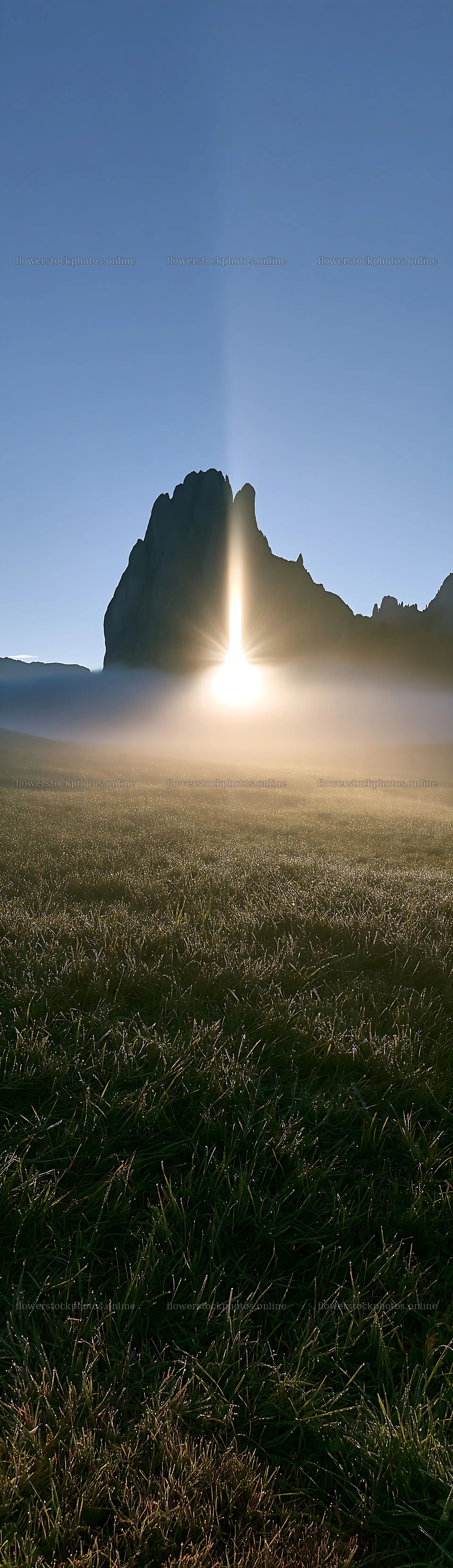 Sunbeams shining over Alpe di Siusi meadow at dawn – flower stock photos 4268x14762
