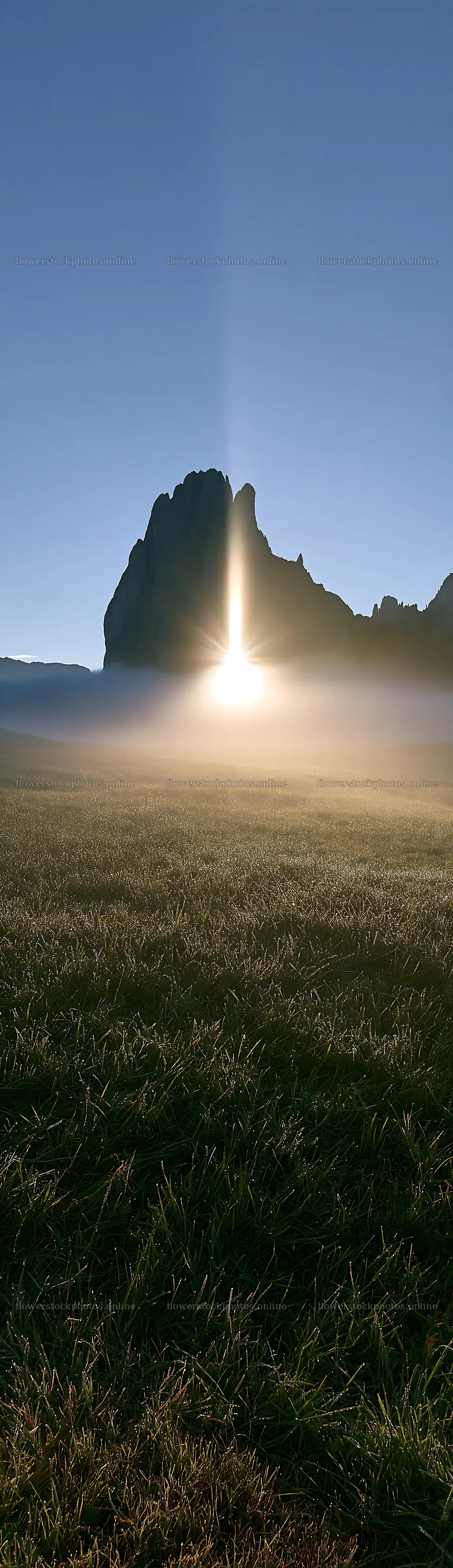 Sunbeams shining over Alpe di Siusi meadow at dawn – flower stock photos 4268x14762
