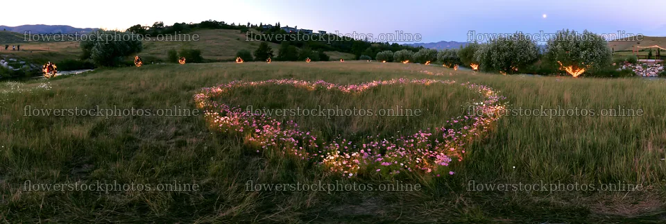 Christmas wreaths beside stream in meadow – flower stock photos 13690x4602