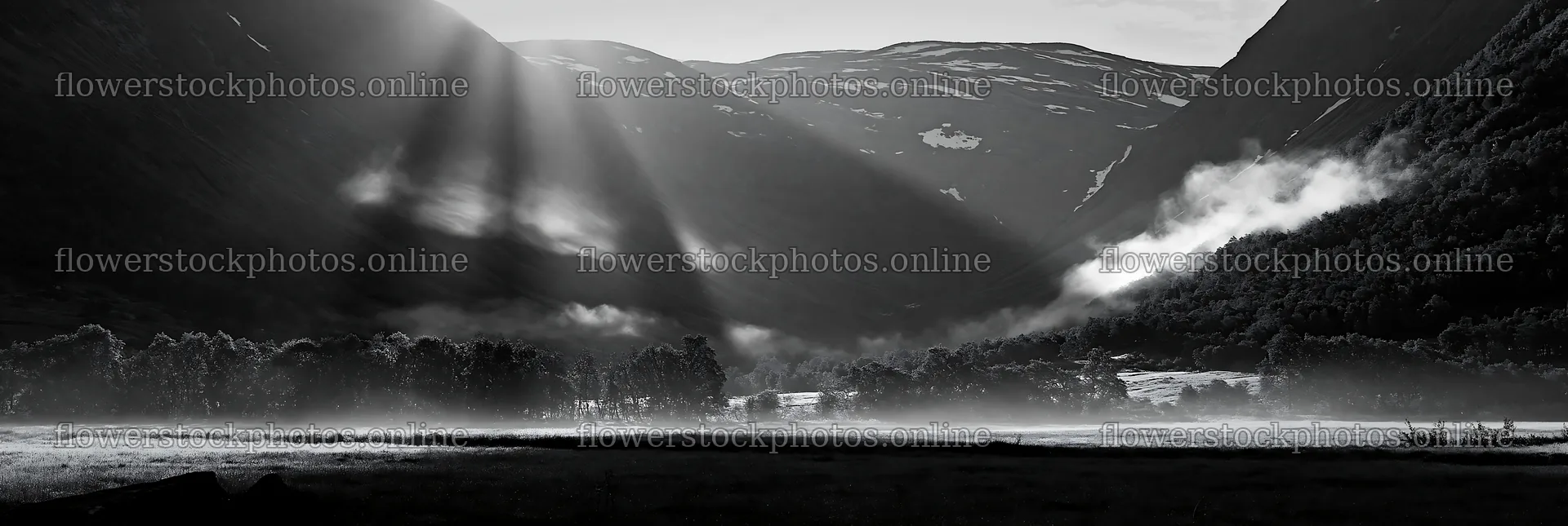 Meadow mountain sunrays illuminate a valley in morning light – flower stock photos 13690x4602