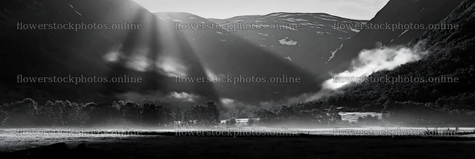 Meadow mountain sunrays illuminate a valley in morning light – flower stock photos 13690x4602
