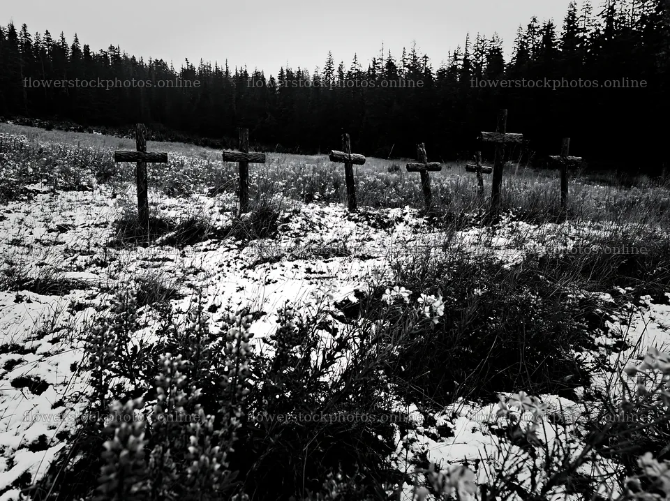 Multiple Christian crosses in snowy meadow landscape – flower stock photos 9174x6866