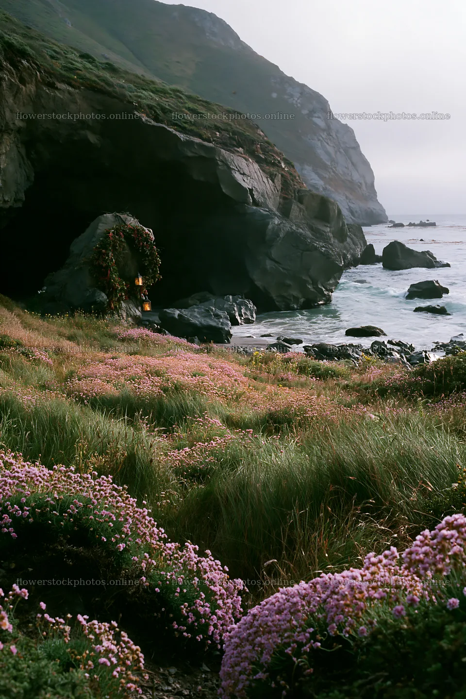 Christmas lights near a cave in a meadow by the ocean – flower stock photos 6480x9722