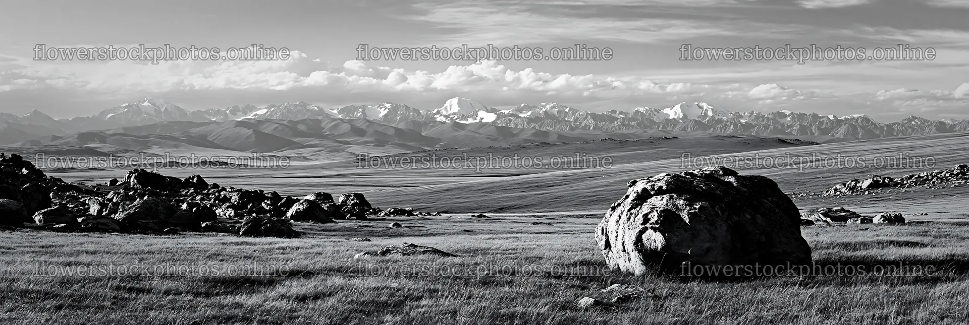 Meadow with boulders and distant mountains in black and white – flower stock photos 13690x4602