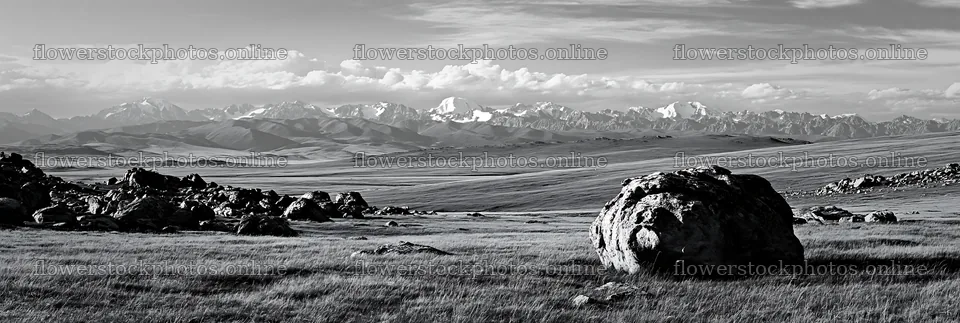 Meadow with boulders and distant mountains in black and white – flower stock photos 13690x4602