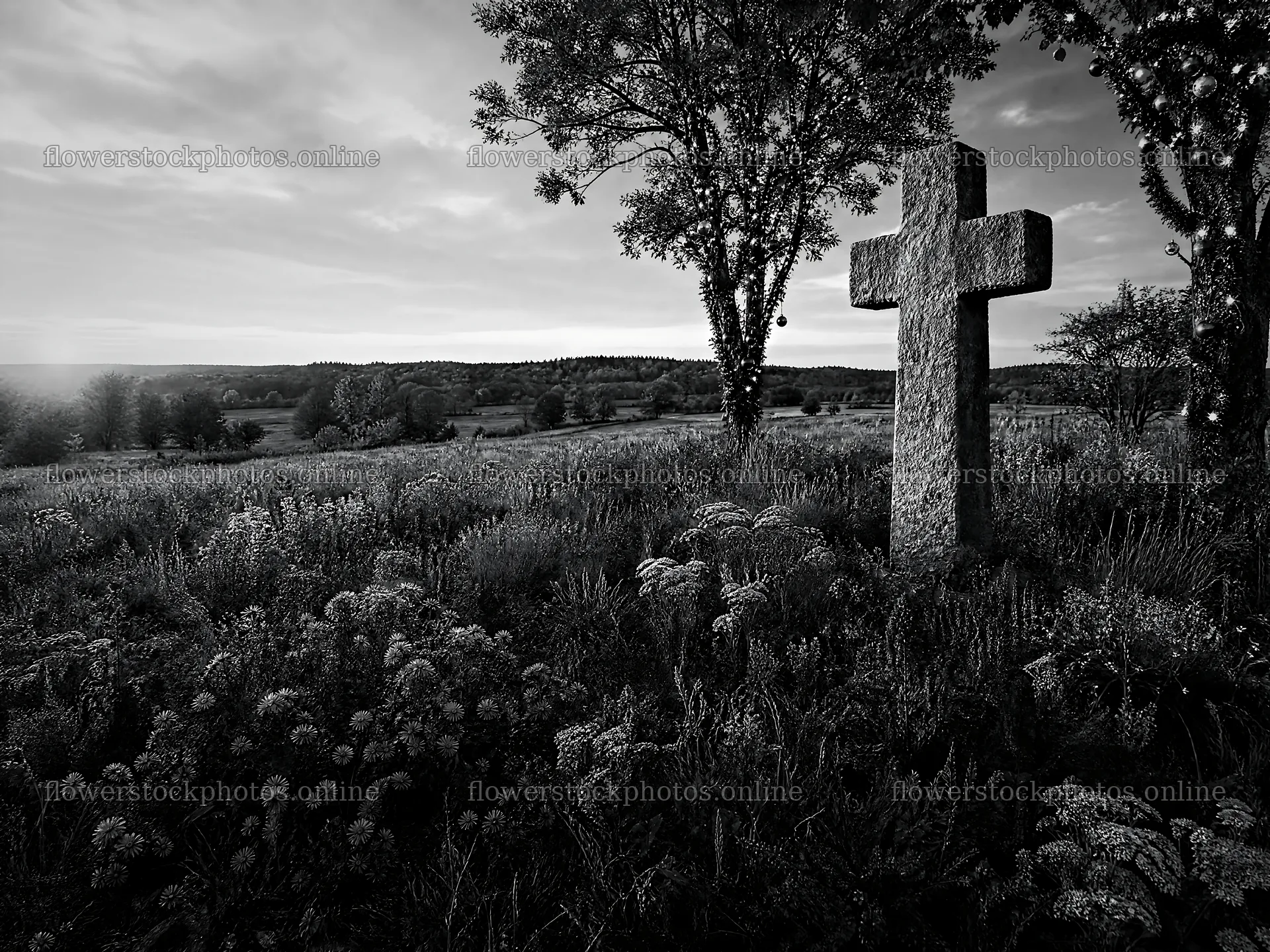 Christian cross in autumn meadow with light rays – flower stock photos 9166x6874