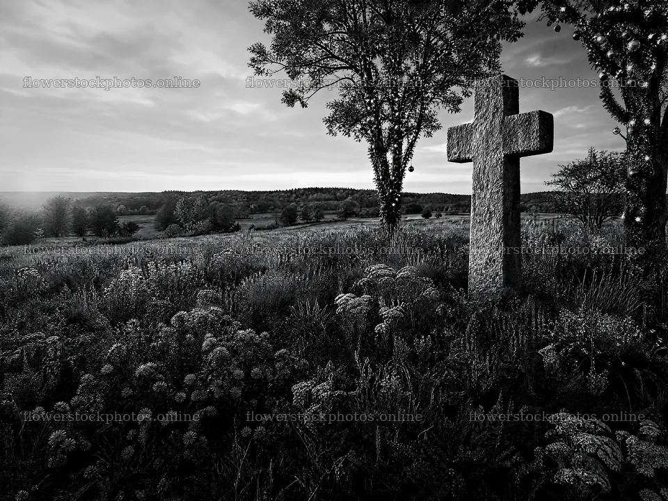 Christian cross in autumn meadow with light rays – flower stock photos 9166x6874