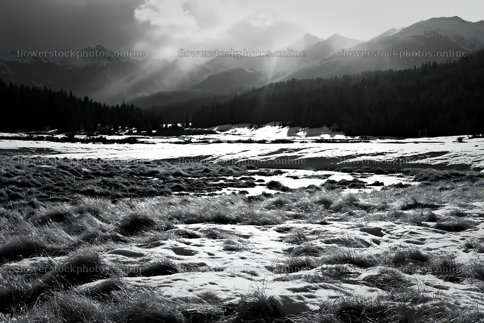 Snowbound meadow with mountains and clouds in black and white – flower stock photos 9722x6480