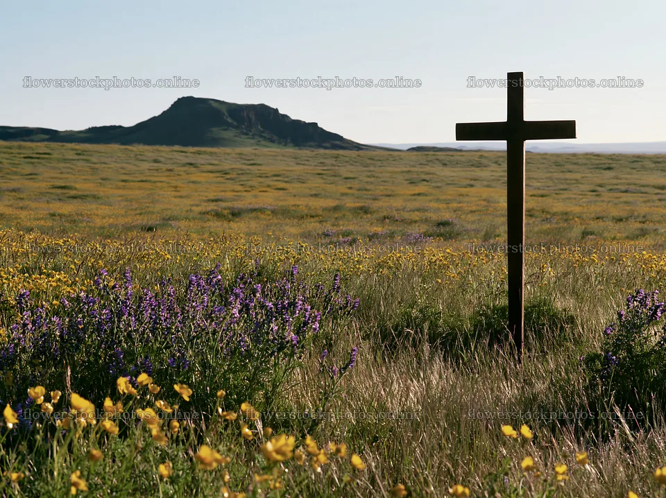 Simple Christian cross in meadow with flowers and mountain – flower stock photos 9174x6866