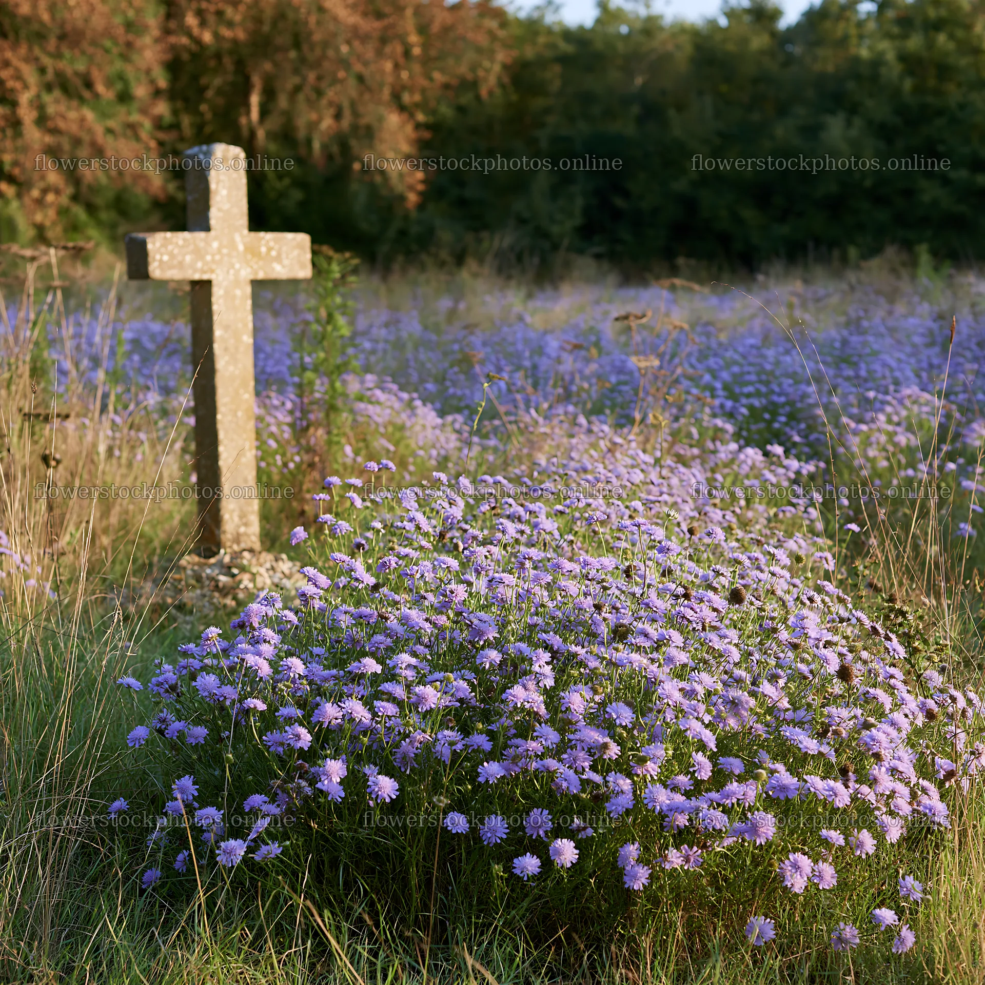 Christian cross with flowers in a meadow – flower stock photos 7938x7938