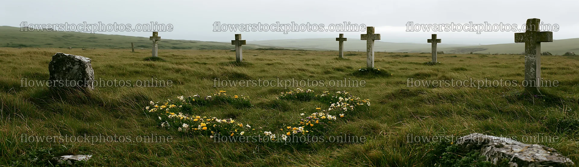 Christian crosses in rain soaked meadow with flowers – flower stock photos 14762x4268