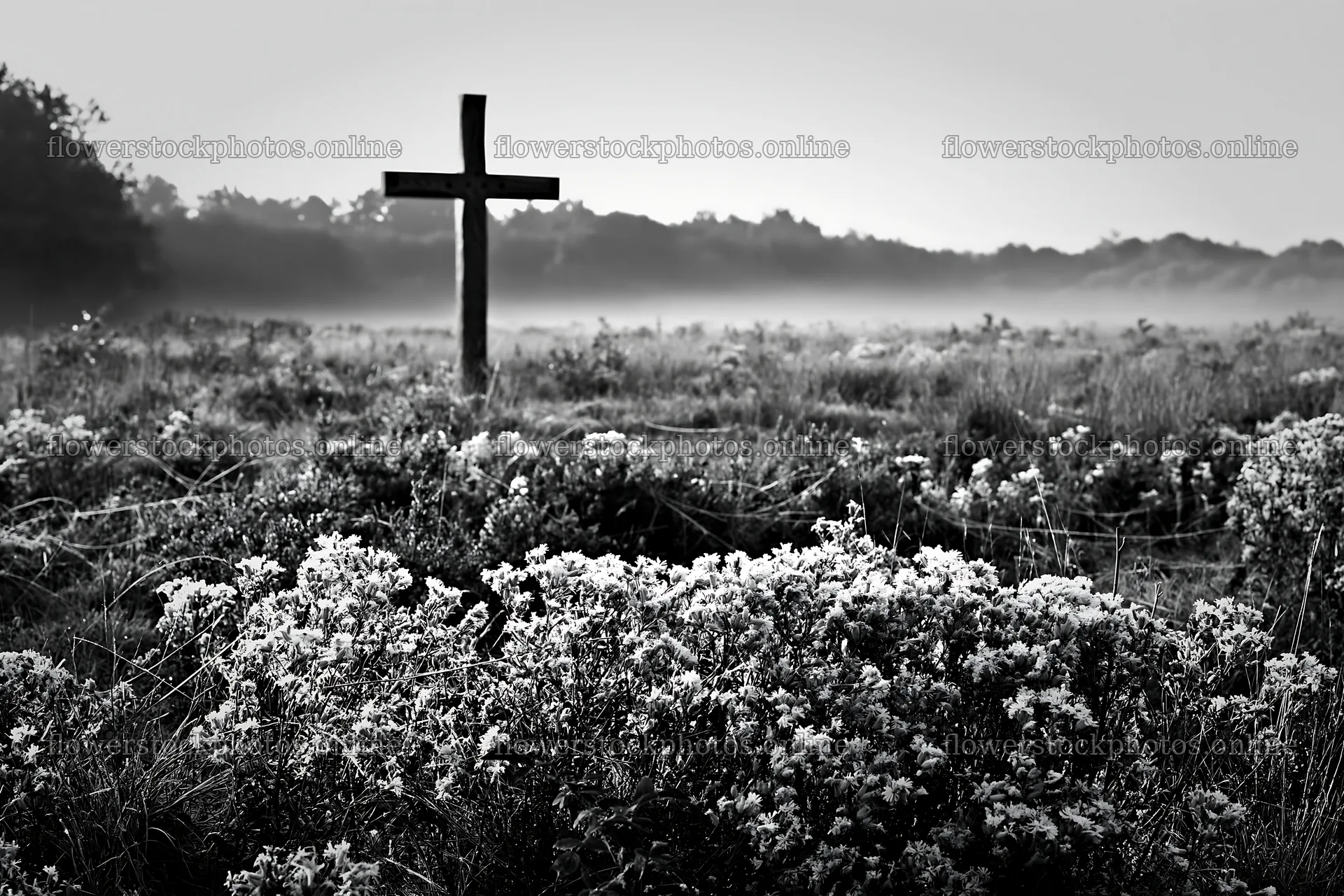 Carved oak cross in frosted meadow at dawn – flower stock photos 9722x6480