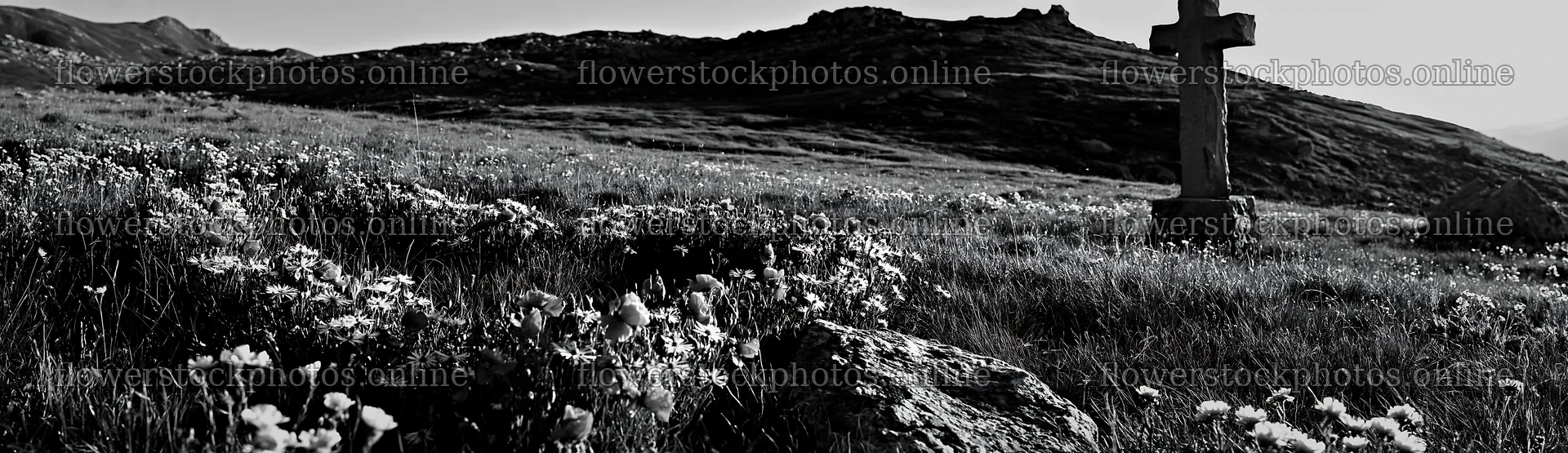 Christian cross in alpine meadow with flowers and mountains – flower stock photos 14762x4268