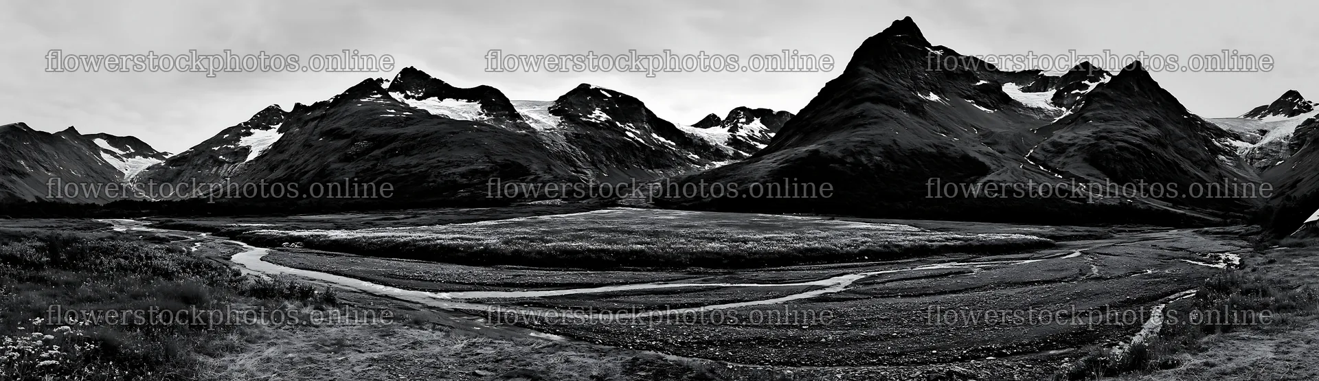 Regenerative meadow landscape with mountains in black and white – flower stock photos 14762x4268