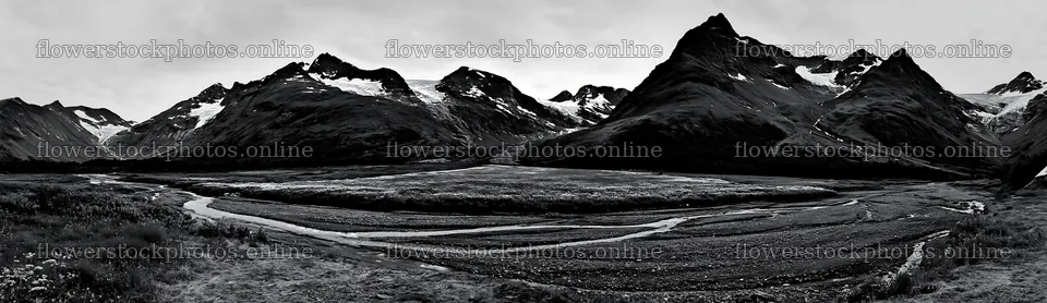 Regenerative meadow landscape with mountains in black and white – flower stock photos 14762x4268