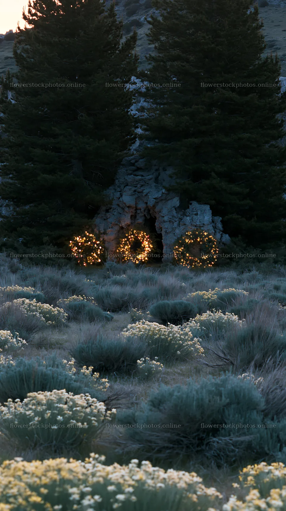 Christmas wreaths with lights near cave in meadow – flower stock photos 5938x10608