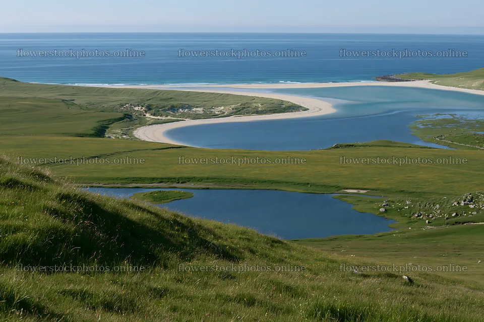 Machair beach meadow overlooking clear water and blue skies – flower stock photos 9722x6480