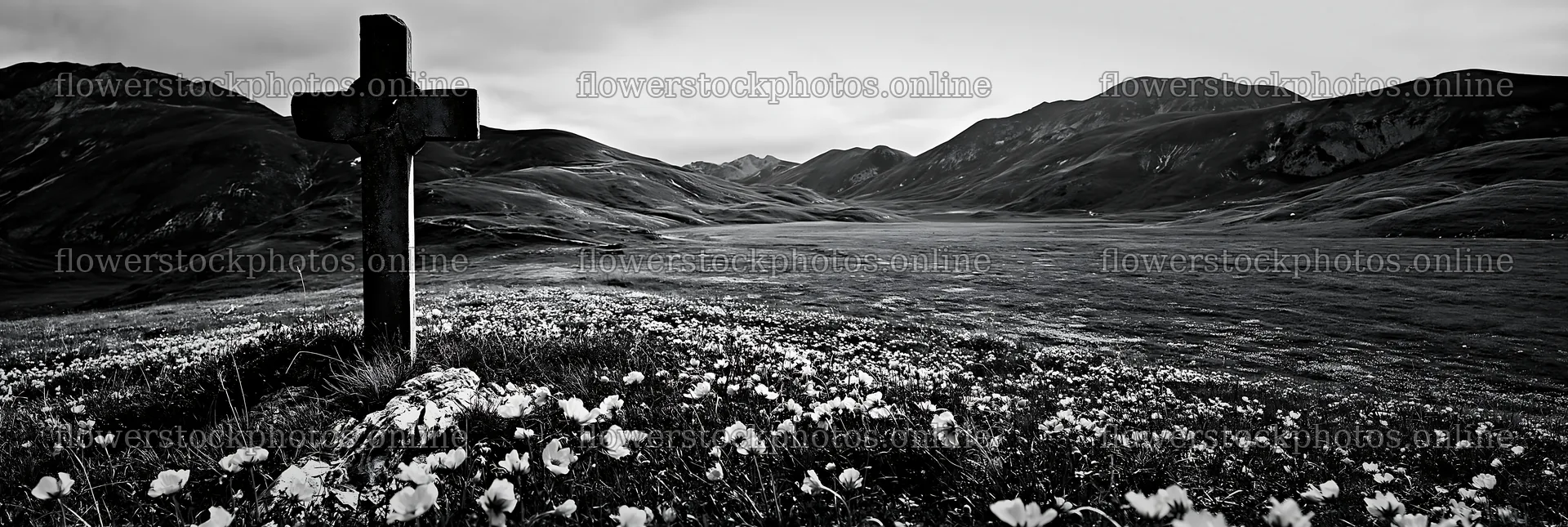 Christian cross in meadow with flowers on a cloudy day – flower stock photos 13690x4602