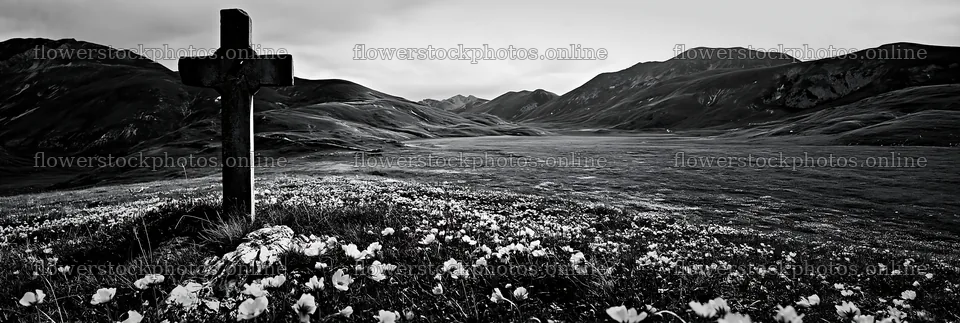 Christian cross in meadow with flowers on a cloudy day – flower stock photos 13690x4602