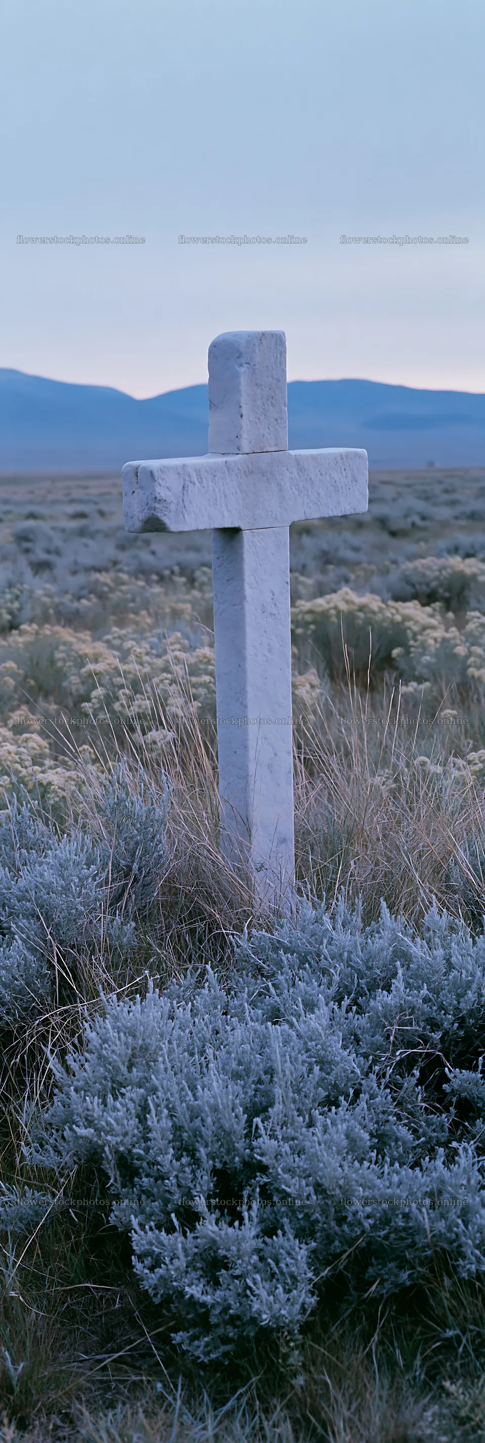 White cross in a remote meadow surrounded by tall grass – flower stock photos 4602x13690