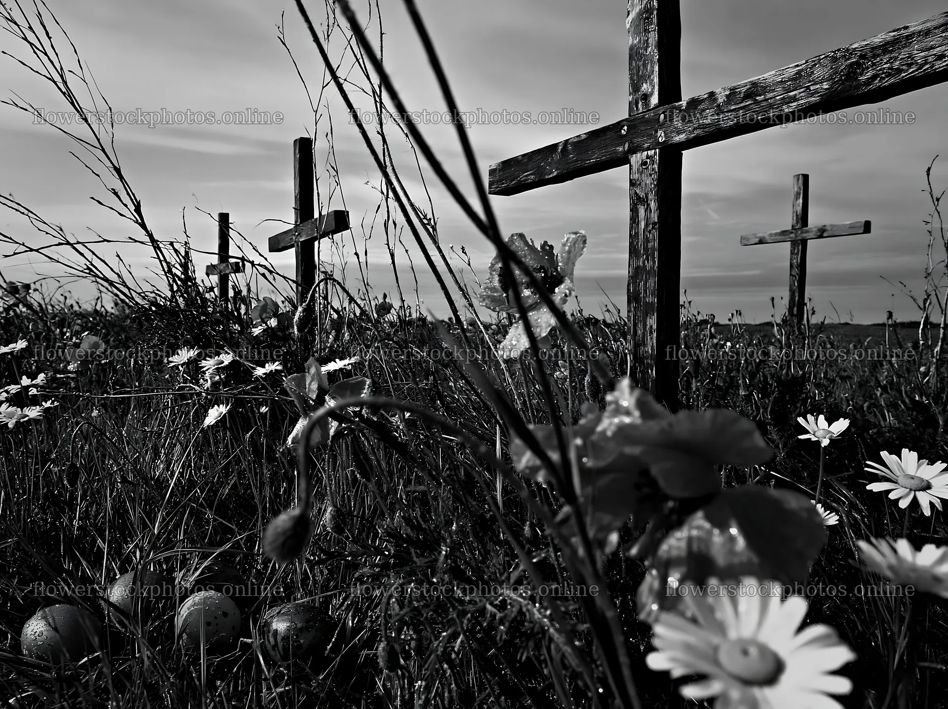 Christian crosses in rain soaked meadow with flowers – flower stock photos 9174x6866