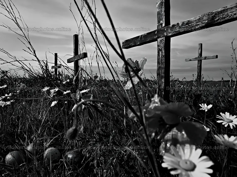 Christian crosses in rain soaked meadow with flowers – flower stock photos 9174x6866