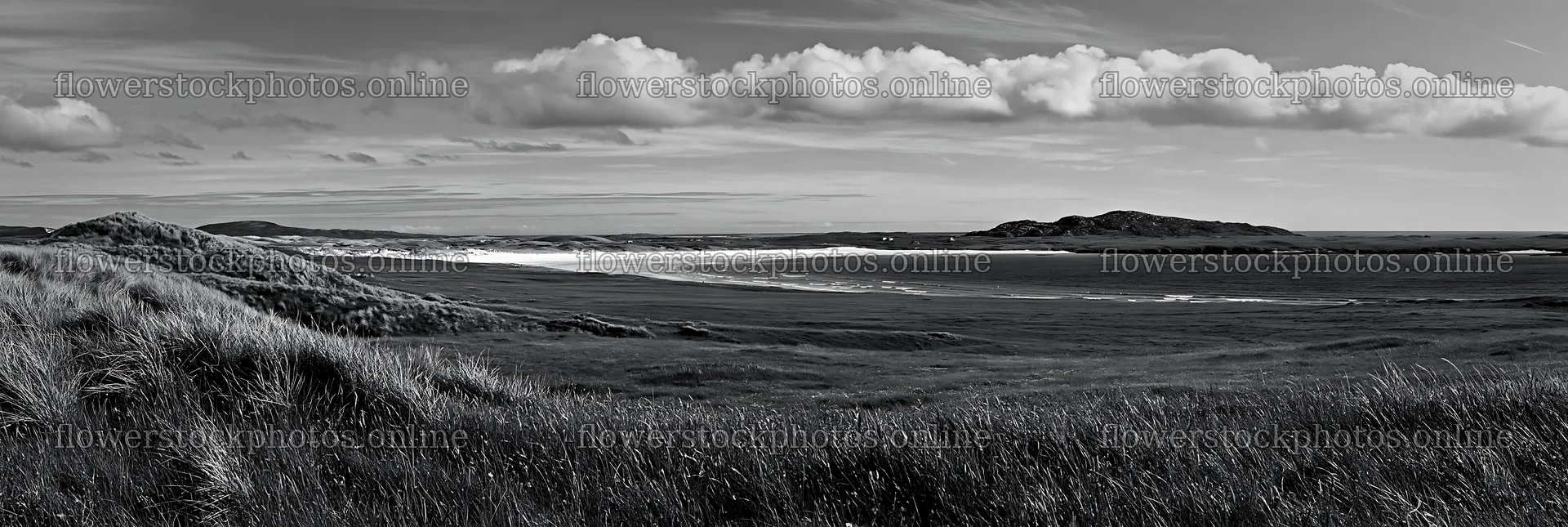 Machair beach meadow with clouds and hills in black and white – flower stock photos 13690x4602