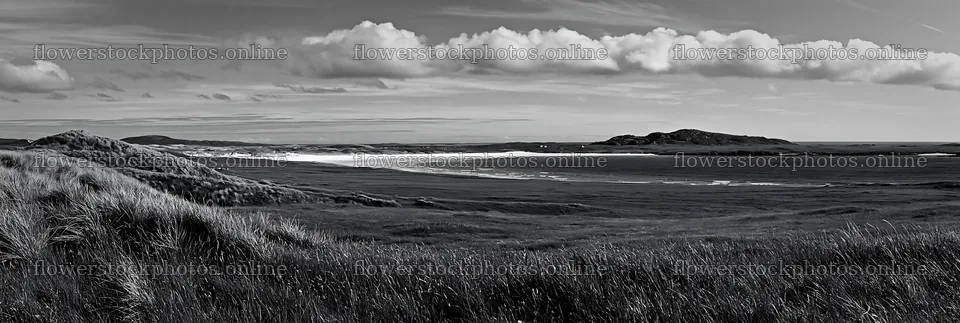 Machair beach meadow with clouds and hills in black and white – flower stock photos 13690x4602